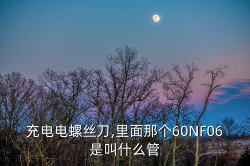 充电电螺丝刀,里面那个60NF06是叫什么管
