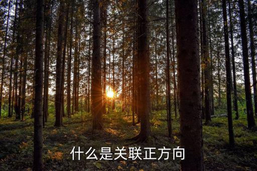 fv1108是什么元件,怎么用惠普打印机?