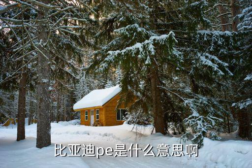 比亚迪pe是什么意思啊