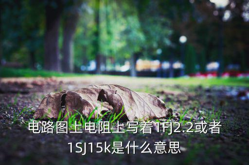 电路图上电阻上写着1FJ2.2或者1SJ15k是什么意思
