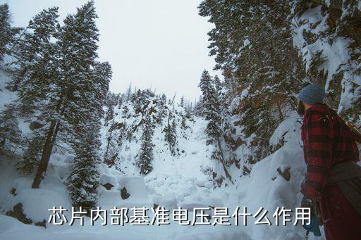 芯片内部基准电压是什么作用
