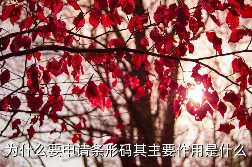 为什么要申请条形码其主要作用是什么