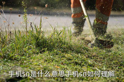 sn74hc14sn是什么意思,手机sn是什么?