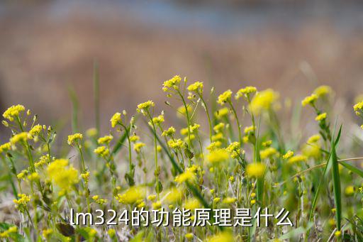 lm3421是什么,四运放集成电路lm324有哪些不同?