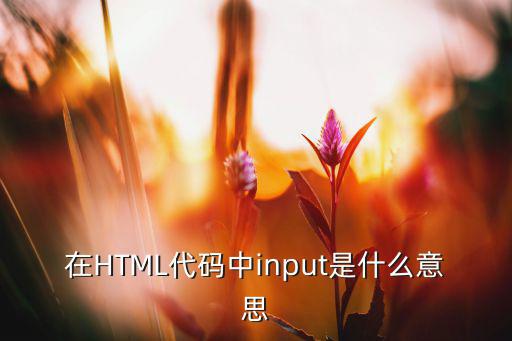 在HTML代码中input是什么意思