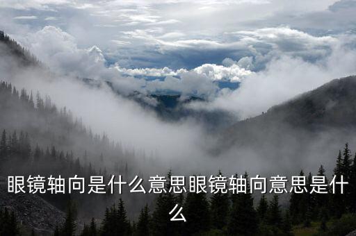 轴向105是什么意思,汽车转子的轴向位移是什么?