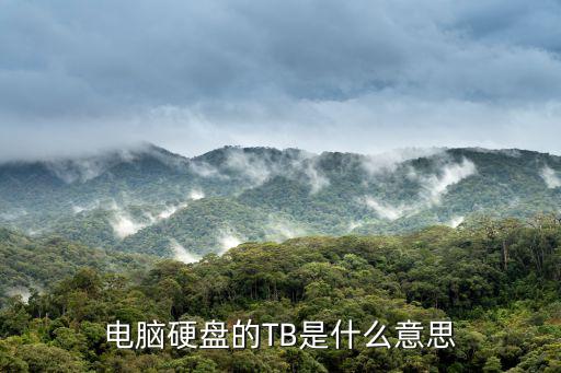 电脑硬盘的TB是什么意思
