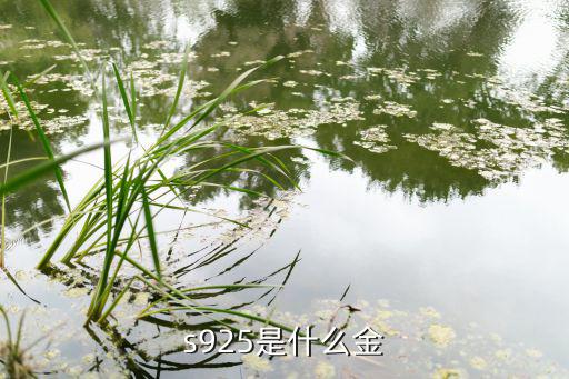 s925是什么金