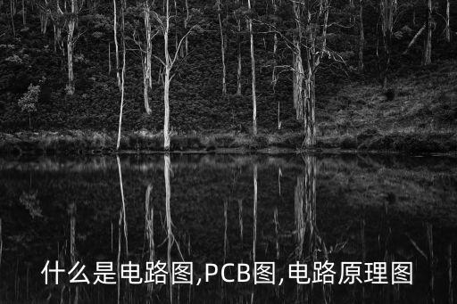 什么叫线路图和电路图,电路原理图什么是电路图?