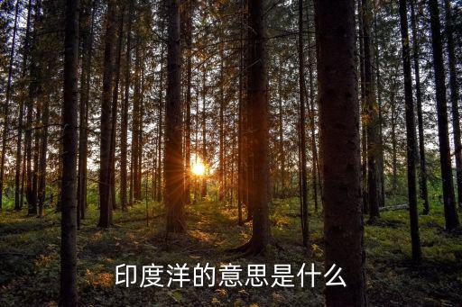 印度洋的意思是什么