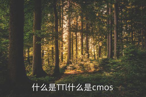 什么是TTl什么是cmos