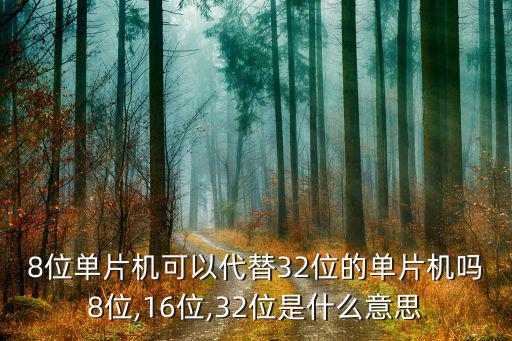 8位单片机可以代替32位的单片机吗8位,16位,32位是什么意思