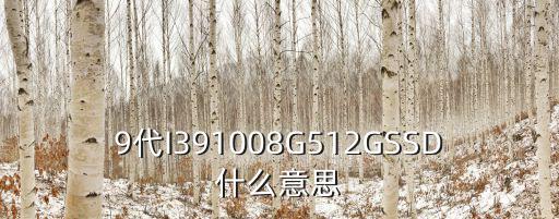 9100是什么型号电阻,现在有几家品牌有魔改bios支持