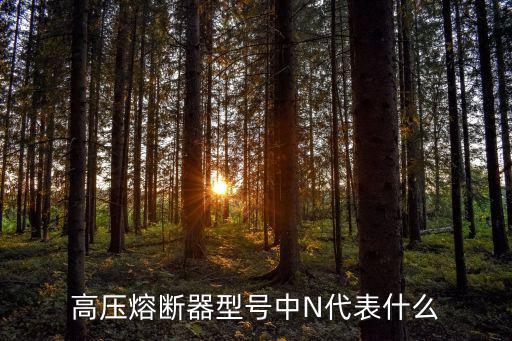 高压熔断器型号中N代表什么