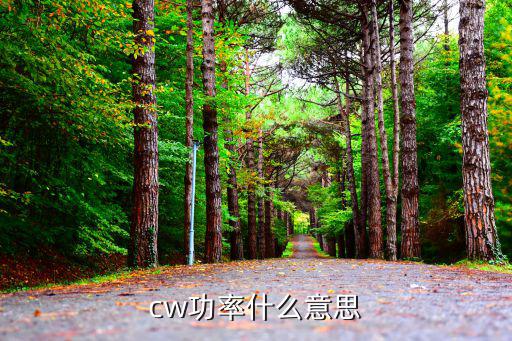 cw功率什么意思