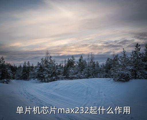 单片机芯片max232起什么作用