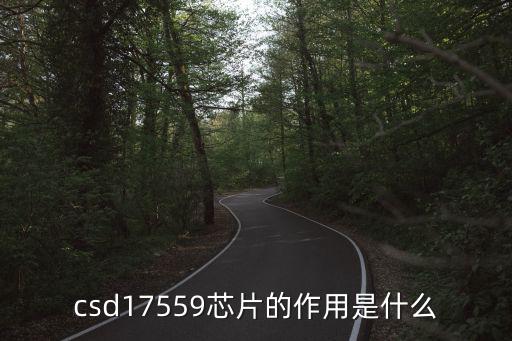 csd17559芯片的作用是什么