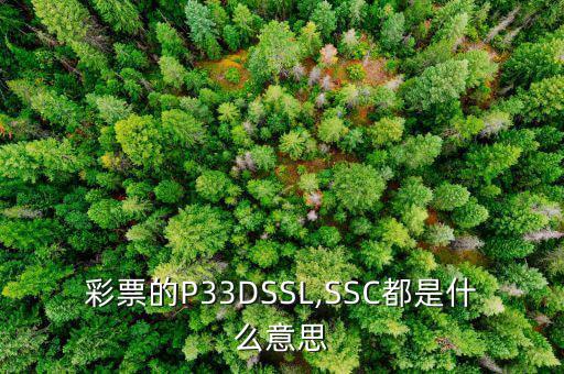 彩票的P33DSSL,SSC都是什么意思