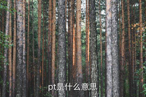 焊接符号pt什么意思,熔接符号从何而来?