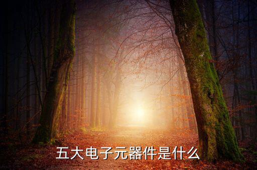 电子器件N什么,电子元器件包括电阻、电容器、电位器等