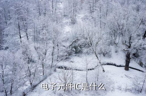 IC元器件是什么意思,ic是什么?