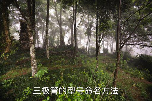 2SD2006晶体管是什么管,这些晶体管是怎么一回事?
