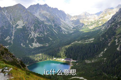 ic什么意思