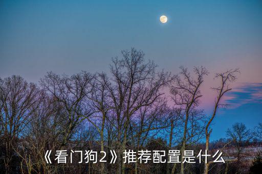 《看门狗2》推荐配置是什么