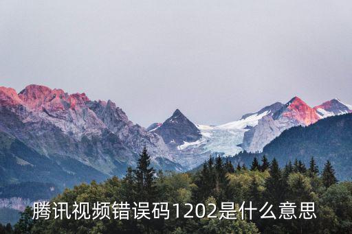腾讯视频错误码1202是什么意思