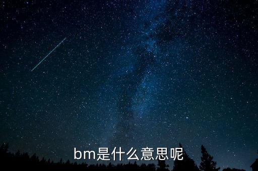 bm是什么意思呢