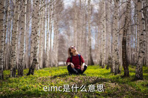 半导体imc什么意思,如何看懂imc?需实际超频才知道