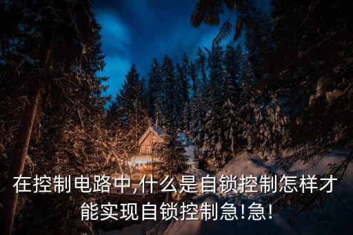什么是单项自锁控制电路,电路中什么叫自锁互锁?