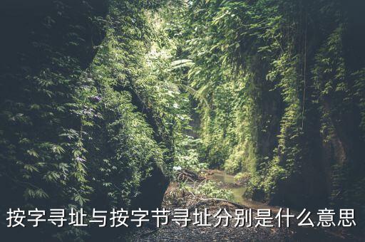 按字寻址与按字节寻址分别是什么意思