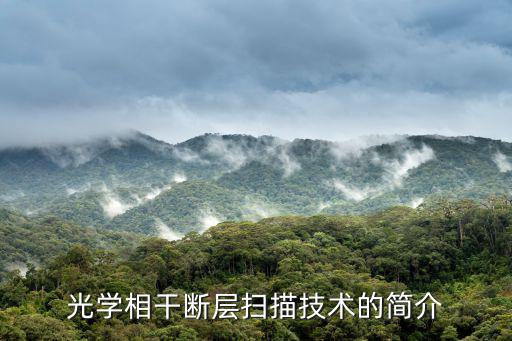 什么是100g相干技术,提高光纤利用一般分两种方式