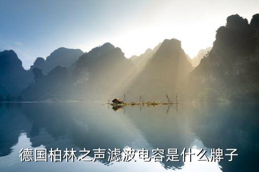 德国柏林之声滤波电容是什么牌子
