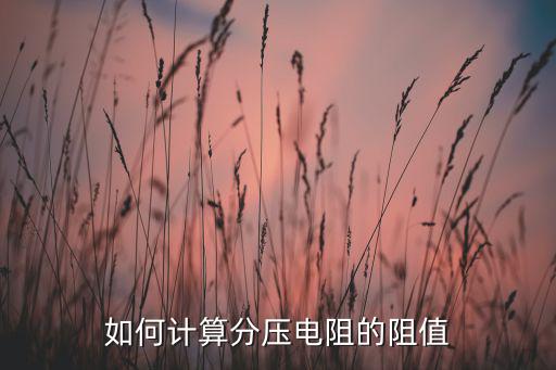 分压电路用什么电阻,为什么液压变阻器要选阻值小的原因
