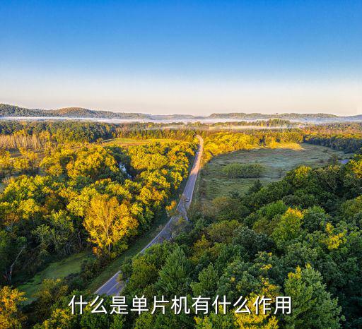 什么是单片机逻辑部件,一块芯片就成一台计算机芯片的作用