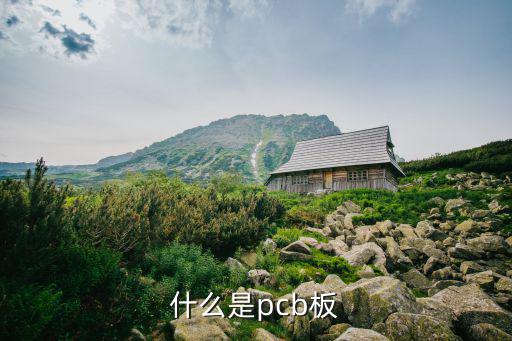 什么是pcb板