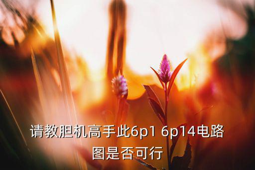 胆机什么电路图,胆机功放制作教程图解详细