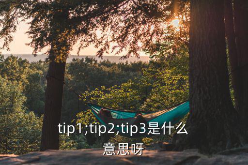 tip1;tip2;tip3是什么意思呀