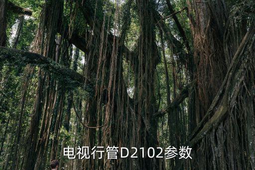 d1651是什么管,行管驼背长虹损毁代换代换后三无
