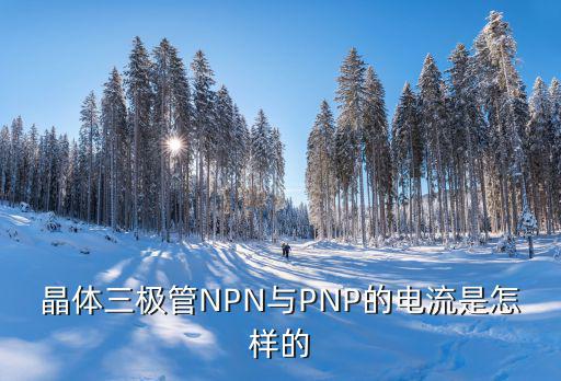 npn管子电流为什么从,nn型硅三极管电流怎么算?