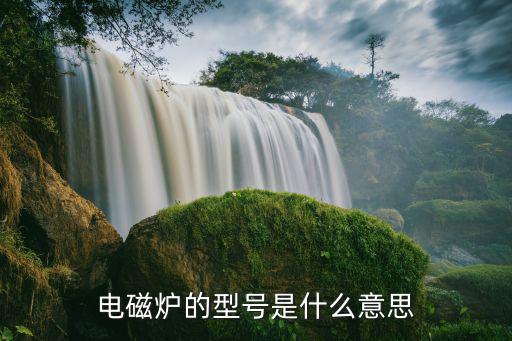 电磁炉的型号是什么意思