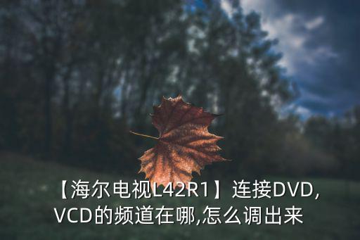 【海尔电视L42R1】连接DVD,VCD的频道在哪,怎么调出来