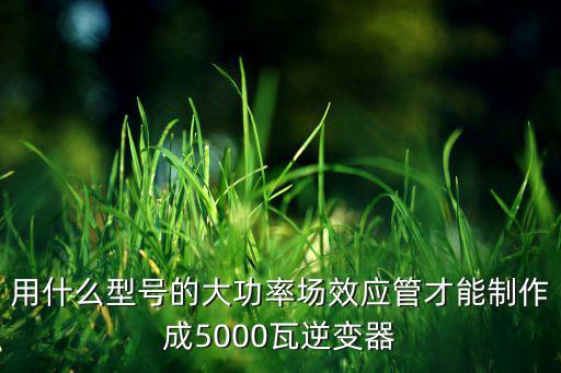 用什么型号的大功率场效应管才能制作成5000瓦逆变器