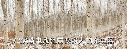 72伏蓄电池组需要多大的充电器