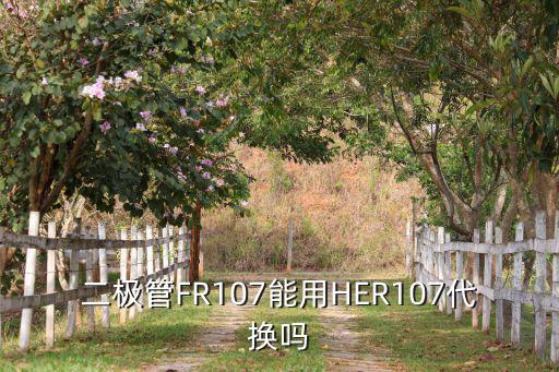 HER105是什么管,ne107和fr107的区别