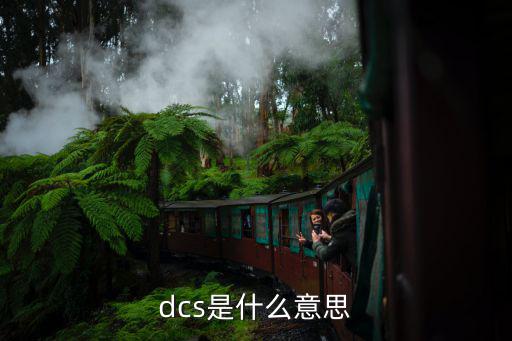 dcs是什么意思