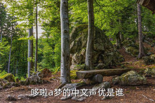 epn中文是什么意思,所有中文字体免费下载或给我邮箱