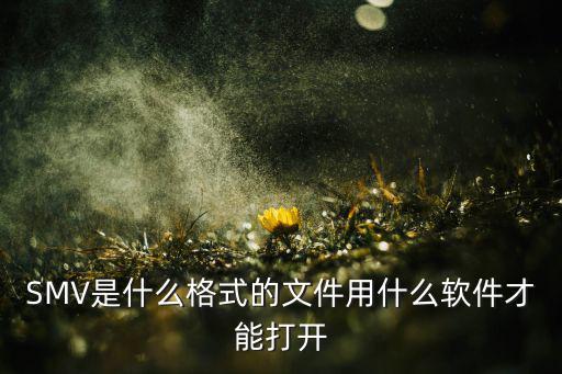 SMV是什么格式的文件用什么软件才能打开
